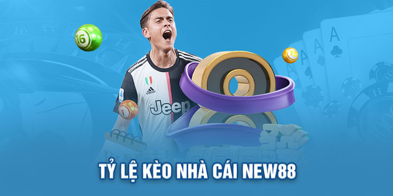 tỷ lệ kèo nhà cái New88